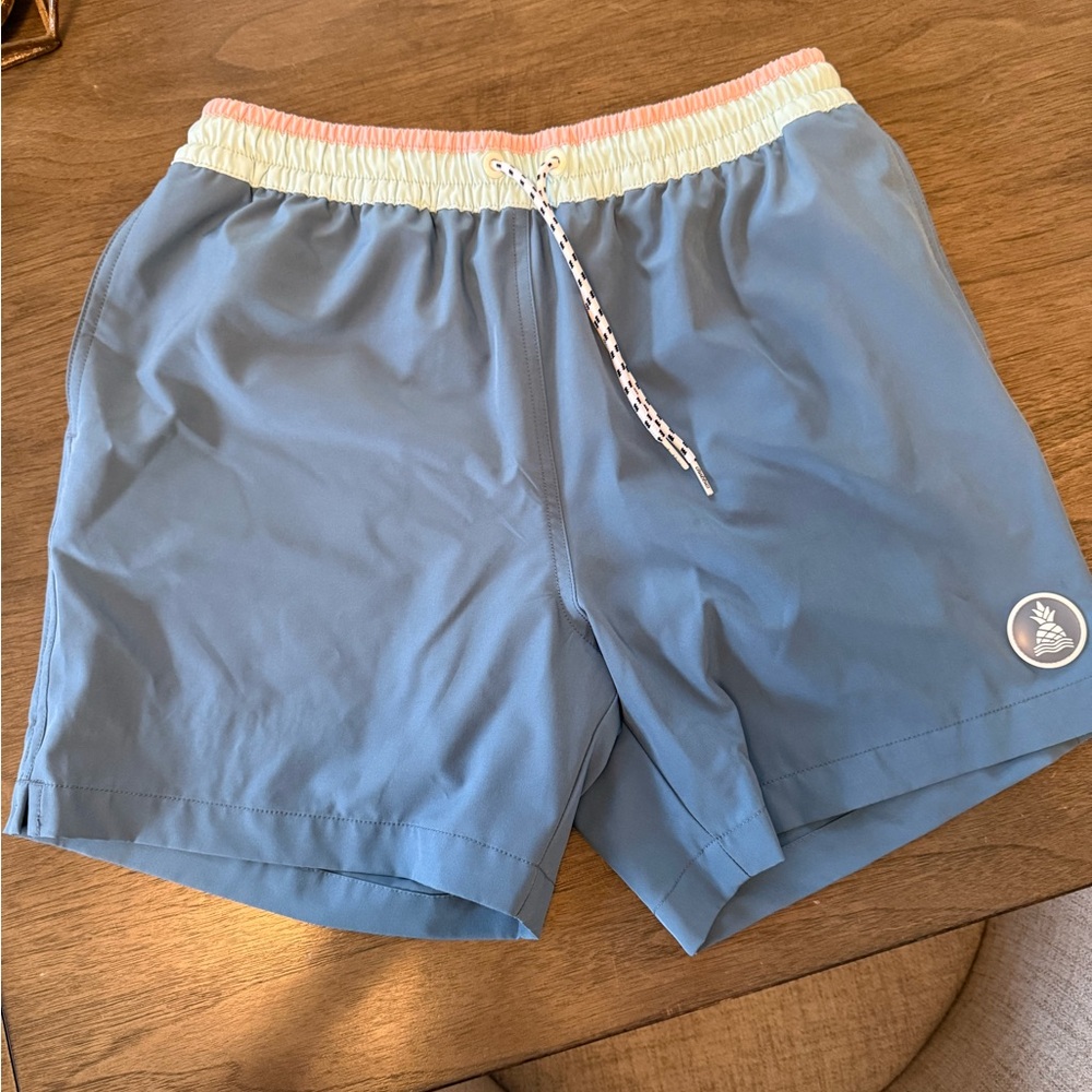 Chubbies swim trunks